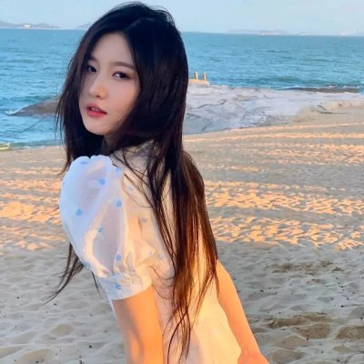 少林与咏春粤语海报