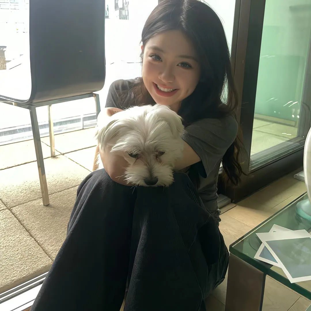 铁血战士：猎物海报