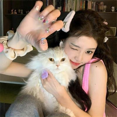 美味猎手海报