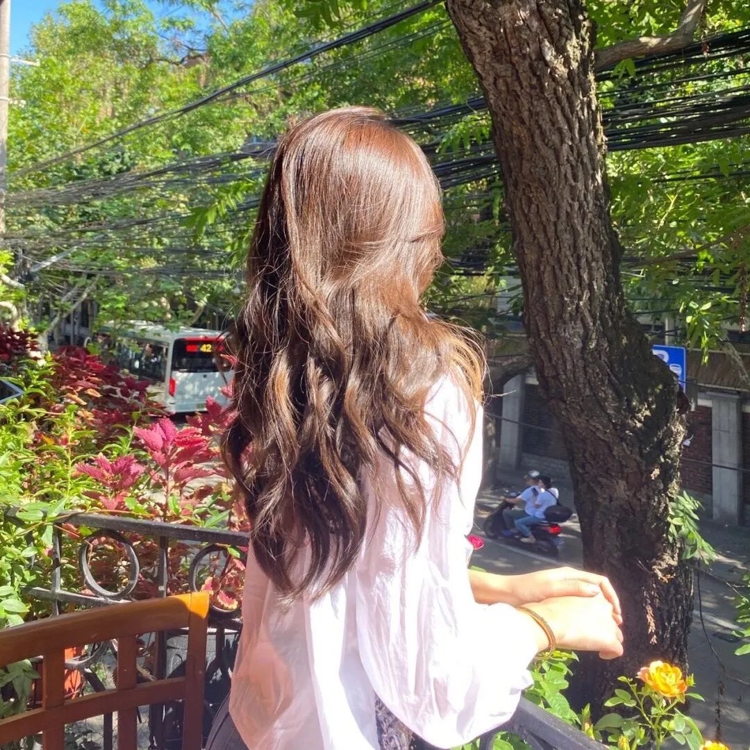 燃烧的季节海报